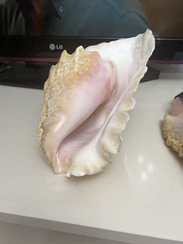 qedim saatlar: Əntiq saatlar — 3