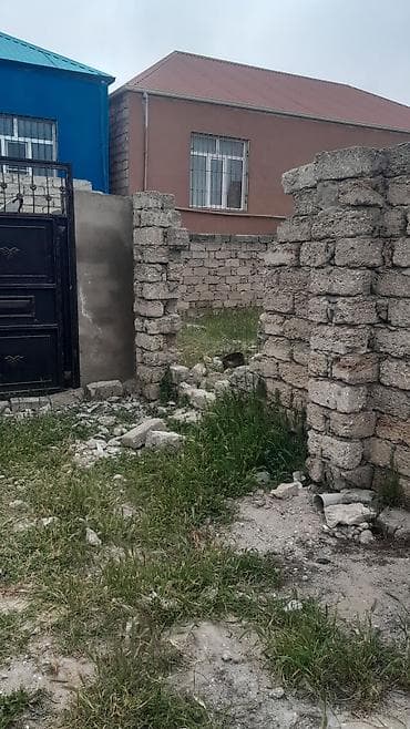 Tikinti — 1