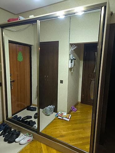 2 qapılı, Güzgülü, Taxta, Kupe, Düz dolab