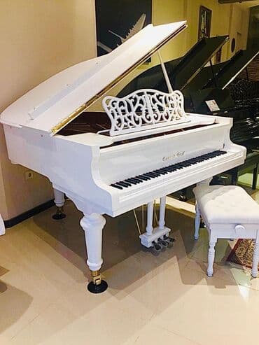 piano petrov: Royal.Conrad graf de161s eksklüziv qaydada rəsmi distribyutoru — 3