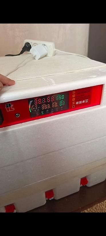 Biznes üçün avadanlıq: Mini İnkubator – rəqəmsal idarəetmə panelli 192 ədədlikdi. - Model — 2