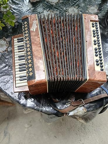 rus dili lüğət dəftəri: Akustik Akkordeon — 4