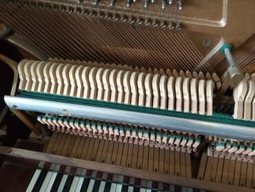 rönisch piano: Пианино, Rönisch, Акустический, Б/у, Самовывоз, Платная доставка — 5