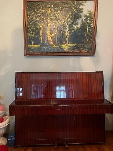 Piano, Belarus, Akustik