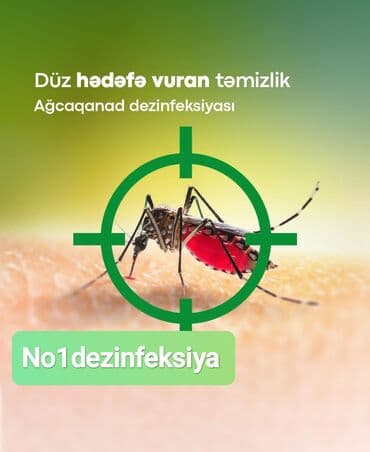 чистка мебели на дому: Дезинфекция, дезинсекция | Клопы, Блохи, Тараканы | Квартиры, Кафе, магазины, Дворы — 3