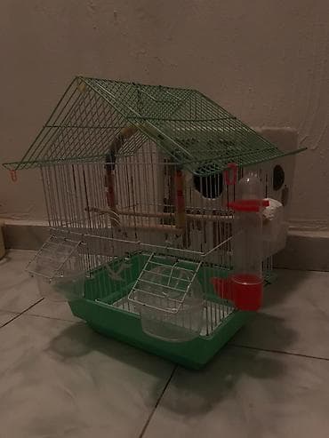 Pişiklər: Quş qəfəsi – aksessuarlarla - Material: metaldan barmaqlıqlar — 2