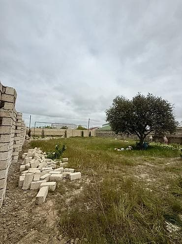 ucarda torpaq satilir: 6 sot, Tikinti, Kupça (Çıxarış) — 4