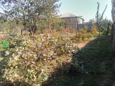 xətai rayonu kirayə evlər: 4 otaqlı, 121 kv. m, Kredit yoxdur, Yeni təmirli — 6