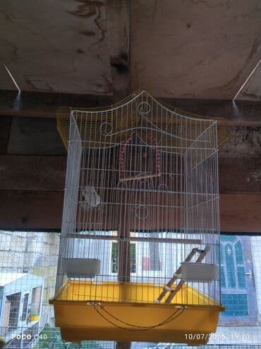 домики для кошек баку: Qəfəslər — 3