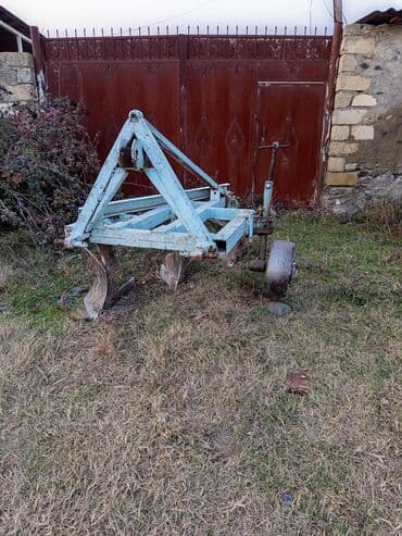 laped: 3 korpus kotan. Yevlax rayon Qoyunbinesi kendi — 2