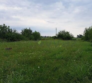 bakı gunluk evlər: Tikinti, Mülkiyyətçi, Kupça (Çıxarış) — 1