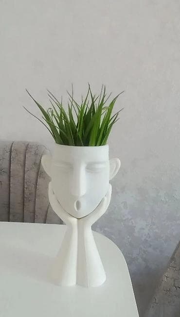 drasena bitkisi: Müasir dekorativ üz formalı dibçək - Material: Ağ rəngli mat — 1