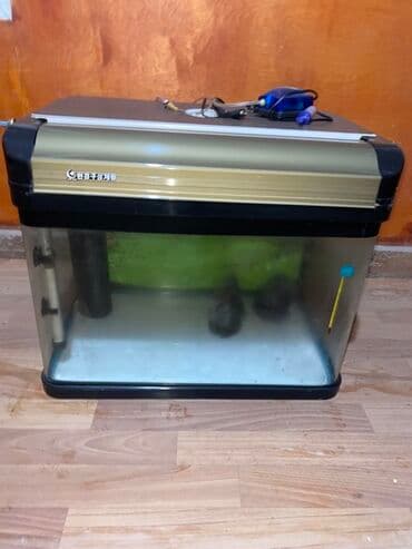 syomqa baliq: Dördbucaq akvarium, Boş, 100 l, Ödənişli çatdırılma — 4