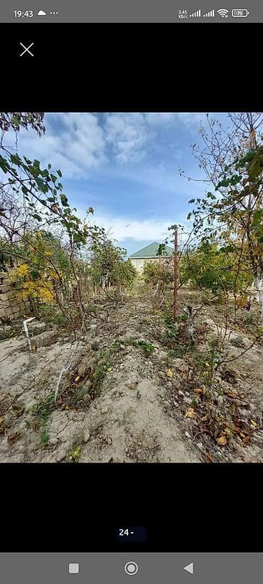 qusarda satilan evler: 2 sot, Tikinti, Mülkiyyətçi, Kupça (Çıxarış) — 3