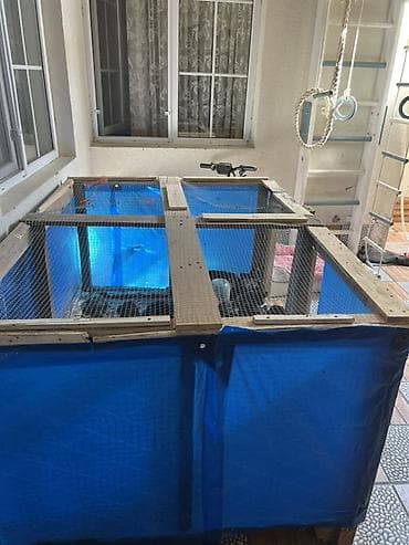 akvariyum: Ev şəraitinə uyğun böyük həcimli açıq akvarium/hovuz konstruksiyası - — 1