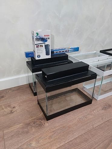 heyvan: Topdan satılır say çoxdu ölçülər 30×25×15 (. 11 litir qapaqlı və — 6