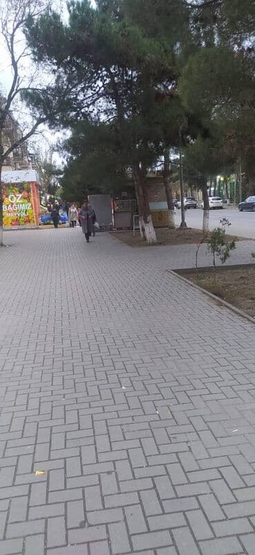 icare kafe: Sumqayıt şəhərində 174 kv əraziyə malik olan obyekt icarəyə verilir — 3