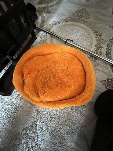 pişik eşyalari: Salam pişik ucun ev 2 mertebeli icinde carpayisi da verilir ozm 90 — 2