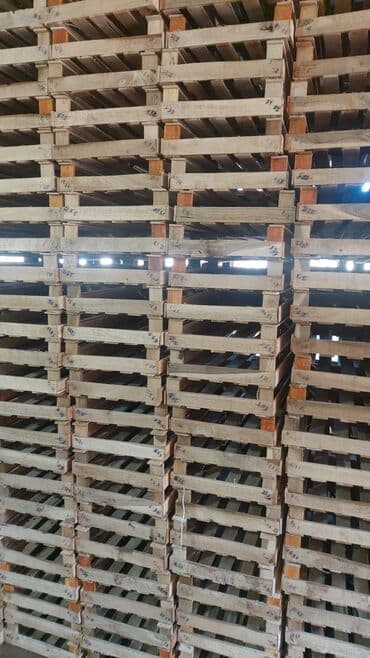 Quruducular: Salam təzə quru yeşik lazım olsa yıqun çatdırma mümkündü — 2