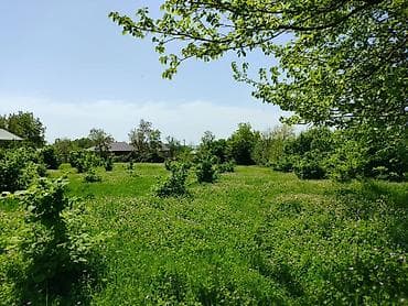 Torpaq sahələrinin satışı: 4 sot, Tikinti — 5