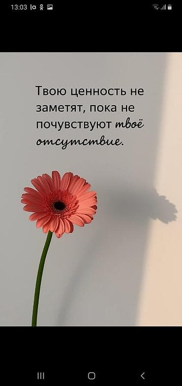 Порядок и чистота