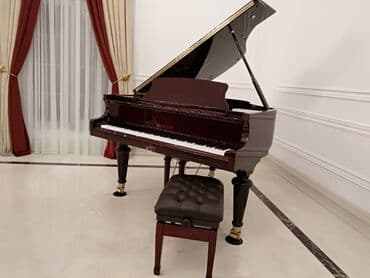 royal music: Royal, Hailun, Akustik, Yeni, Pulsuz çatdırılma — 2
