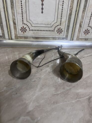 Hyundai: Buynuz gumusden ibaretdir orginal qedimidir — 3