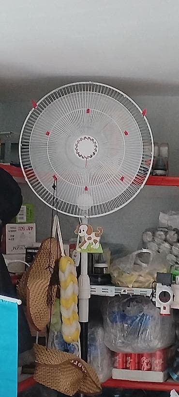 Ovçuluq və balıqçılıq