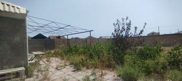 şabran torpaq: Tikinti, Mülkiyyətçi, Kupça (Çıxarış) — 7