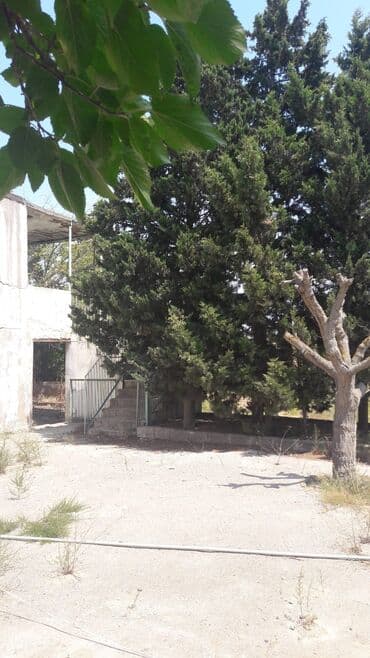 sabuncu qəsəbəsi: 32 sot, Kənd təsərrüfatı, Maklerlər narahat etməsin, Kupça (Çıxarış) — 3