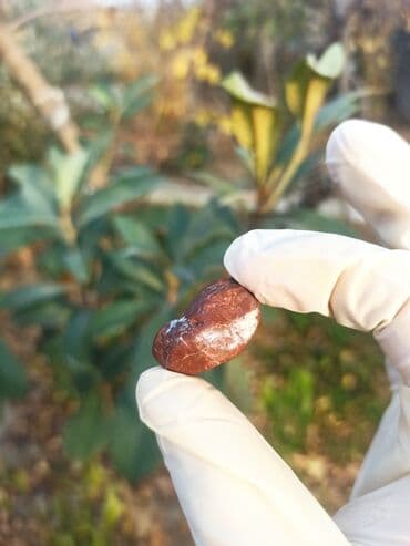 qızılın 1 qramının qiyməti 2022: 💎 Təbii JASPER Daşı😍 Qiymətlə bağlı maraqlananlar zəhmət olmasa — 14