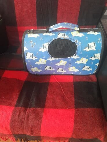 heyvanlara verilen xususi adlar: Canta — 1