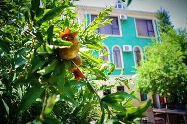 дом аренда: 750 м², 6 комнат, Комби, Газ, Электричество — 23