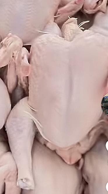 Təmizlənmiş bütöv toyuq ətləri - Bütöv, dərili/dərisiz hissələr