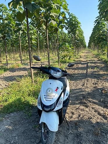 moto n50: - maped, 2024 il — 1