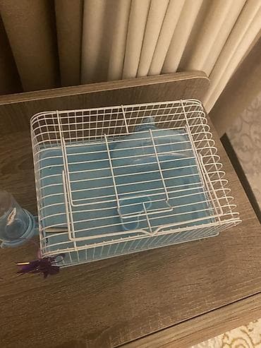 Quşlar: 1 aydır alınıb az ıstıfade olunub ustunde su qabısı,fırlanan çarxı — 1