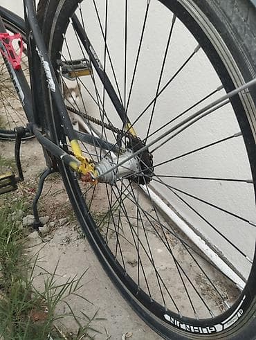 velosiped kameri: Şəhər və gündəlik sürüşlər üçün tək sürətli velosiped. Xüsusiyyətlər — 1