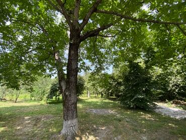 ələt qəsəbəsi: Tikinti — 28