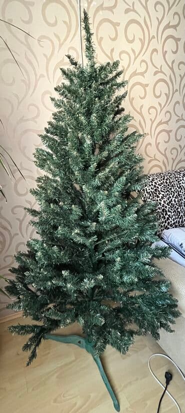 Bitkilər: Şam ağacı 180 sm — 1