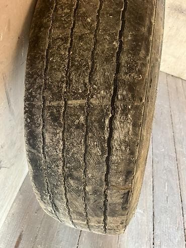r22: Şin Roadshine 295 / 80 / R 22,5 — 4
