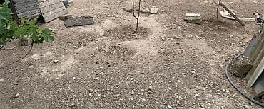 xırdalan aff park: Tikinti — 4