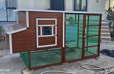 quş yuvası: Tuyuq yuvası Hin sifarişlə hazırlanması istənilən ölçüdə tam — 10