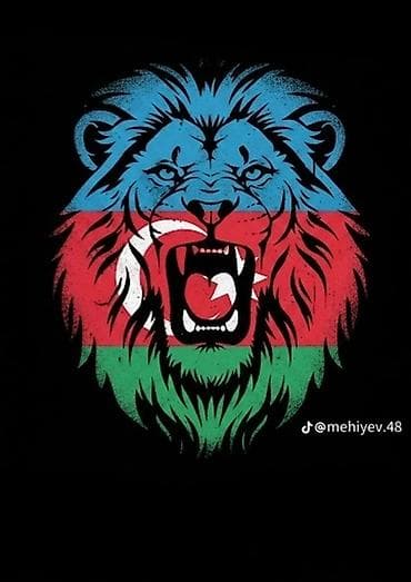 derzi isi axdariram: Məhsul: Azərbaycan temalı qrafik dizayn illüstrasiyaları Təsvir: - — 2