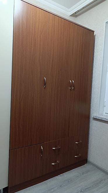 otag gapilari: Təknəfərlik çarpayı, Dolab — 3