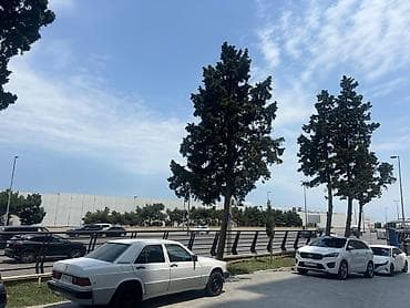 mida satis: 2 otaqlı, Yeni tikili, 54 kv. m — 4