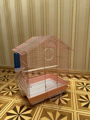 hələb kecisi haqqında məlumat: Tovuz quşları — 2