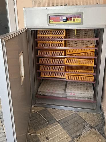 mini generator: Yumurta inkubasiya aparatı Generator,yemüyüden ve inkubator 3- ü — 3