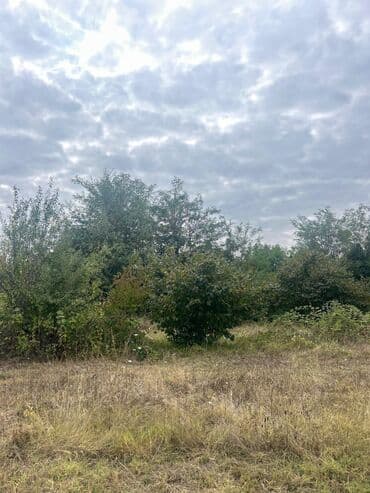 qubada torpaq satilir 2020: 110 sot, Tikinti — 16