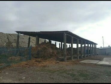 arenda donər: Ferma kompleksi – dağ mənzərəli, geniş ərazili təsərrüfat sahəsi — 5