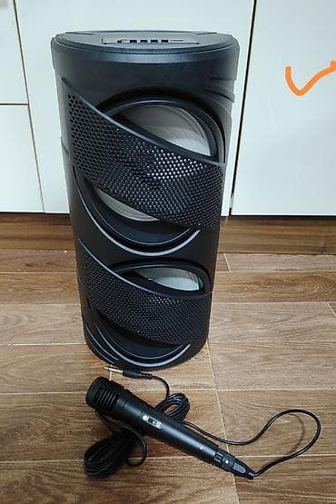 Portativ karaoke akustik sistemi + mikrafon - İki böyük dinamikli — 1